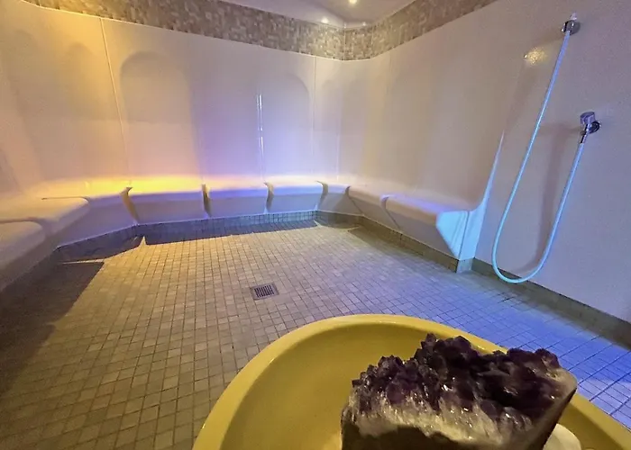 فندق Phoenix باد فسينغ