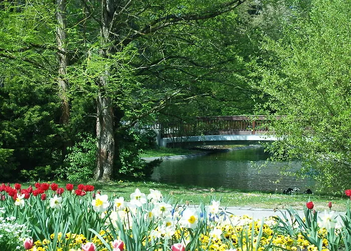 Phönix Bad Füssing